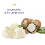 Dove 0% Aluminum Deodorant Stick Non irritating Deodorant for Underarm Care Shea Butter Kindest Aluminum Free Deodorant 2.6 oz - Image 3